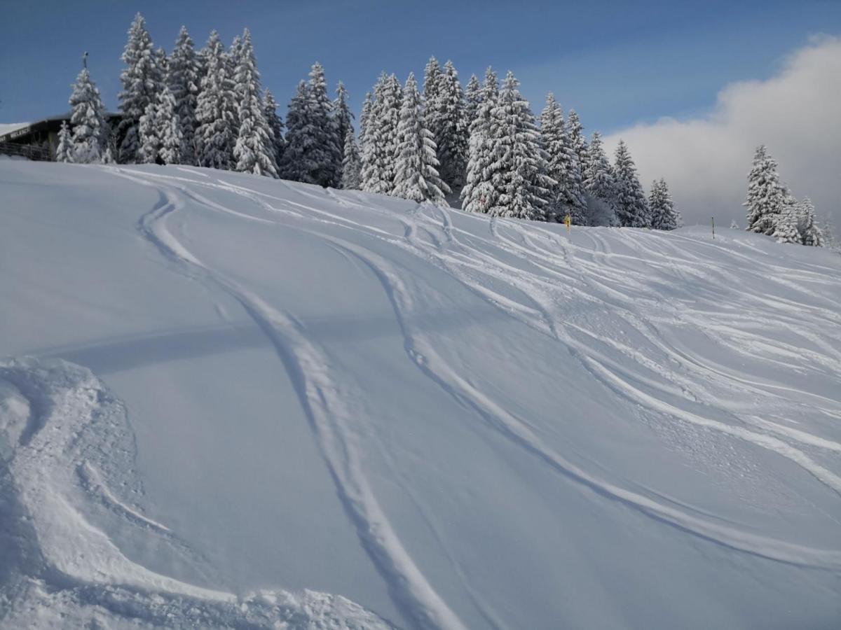 Chalet Bella Pettneu am Arlberg Dış mekan fotoğraf